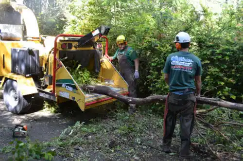 tree services Inverness